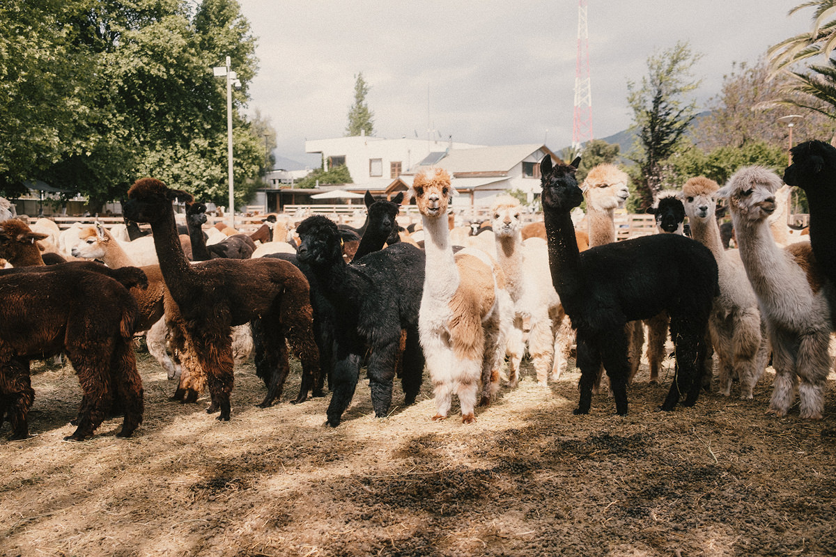 2511-Bilder-Website_2